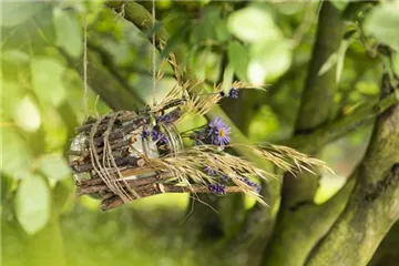 Ein Vogelhaus aus einem Weckglas - gläserner Futter-Stopp für Vögel Ein Vogelhaus aus einem Weckglas - gläserner Futter-Stopp für Vögel