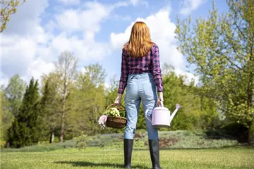 Alles auf Anfang – ein Blumenbeet anlegen Alles auf Anfang – ein Blumenbeet anlegen