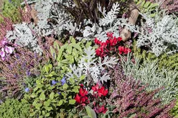 Die Grabpflege im Herbst Die Grabpflege im Herbst