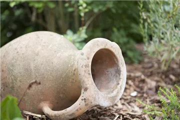 Möchten Sie Ihren Garten umstylen? So geht es ganz schnell Möchten Sie Ihren Garten umstylen? So geht es ganz schnell