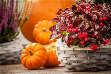 Die Haustür als Visitenkarte – Ideen für die herbstliche Dekoration Die Haustür als Visitenkarte – Ideen für die herbstliche Dekoration