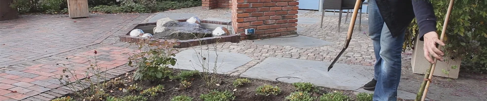 Fadenzypresse - Einpflanzen im Garten (thumbnail).jpg Fadenzypresse - Einpflanzen im Garten (thumbnail).jpg