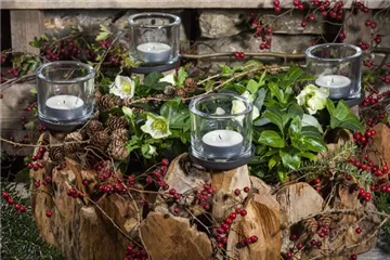 Adventskranz gestalten Adventskranz gestalten
