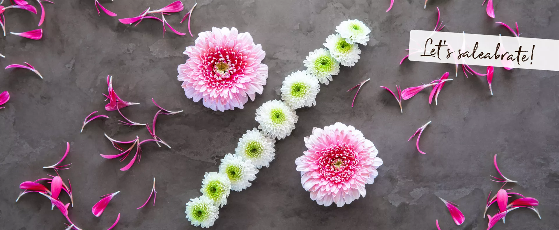 Hier warten die besten Sales GSMW_Titelbild-Sale.png